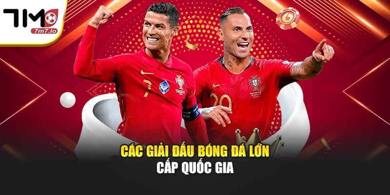Các giải đấu bóng đá lớn cấp quốc gia
