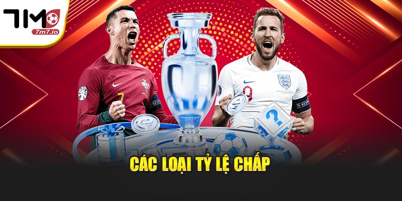 Các loại tỷ lệ chấp