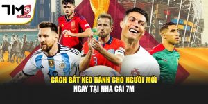 Cách Bắt Kèo Dành Cho Người Mới Ngay Tại Nhà Cái 7M
