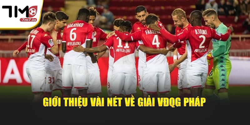 Giới thiệu vài nét về giải VĐQG Pháp