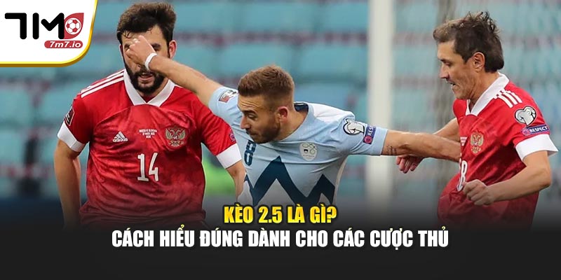 Kèo 2.5 Là Gì? Cách Hiểu Đúng Dành Cho Các Cược Thủ