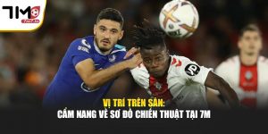 Vị Trí Trên Sân: Cẩm Nang Về Sơ Đồ Chiến Thuật Tại 7M