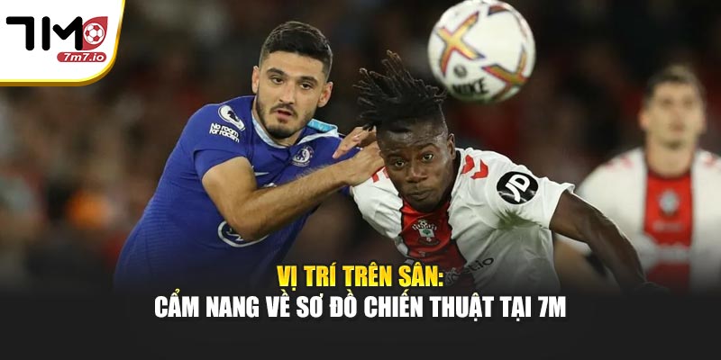 Vị Trí Trên Sân: Cẩm Nang Về Sơ Đồ Chiến Thuật Tại 7M